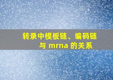 转录中模板链、编码链与 mrna 的关系